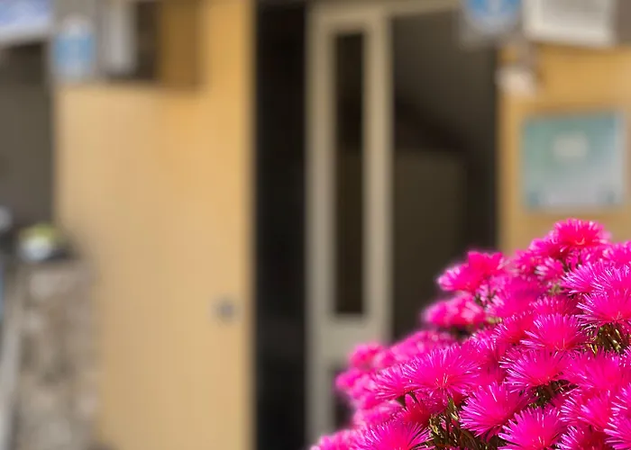 Готель Minerva 3*